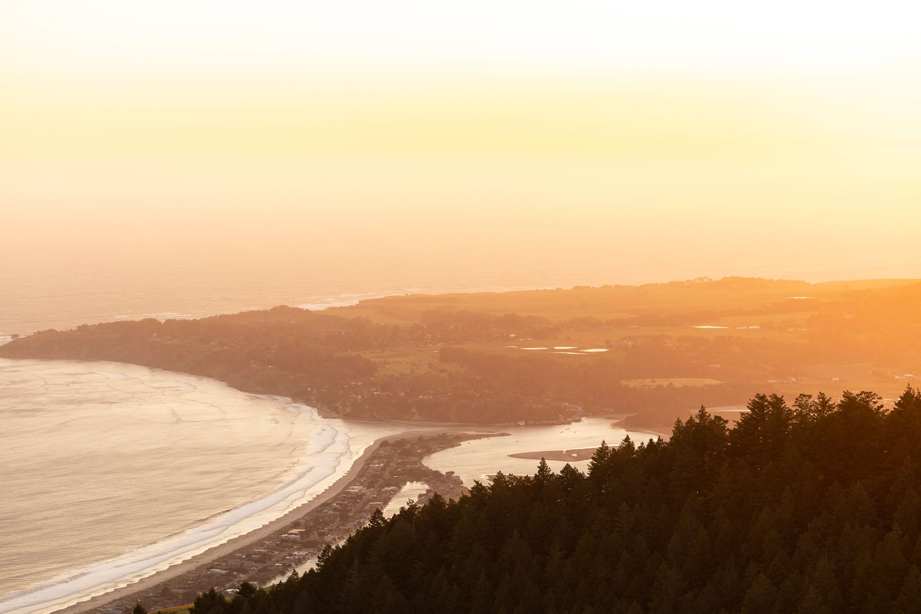 A stunning sunrise over Muir Beach with golden light illuminating the coastline and forest.