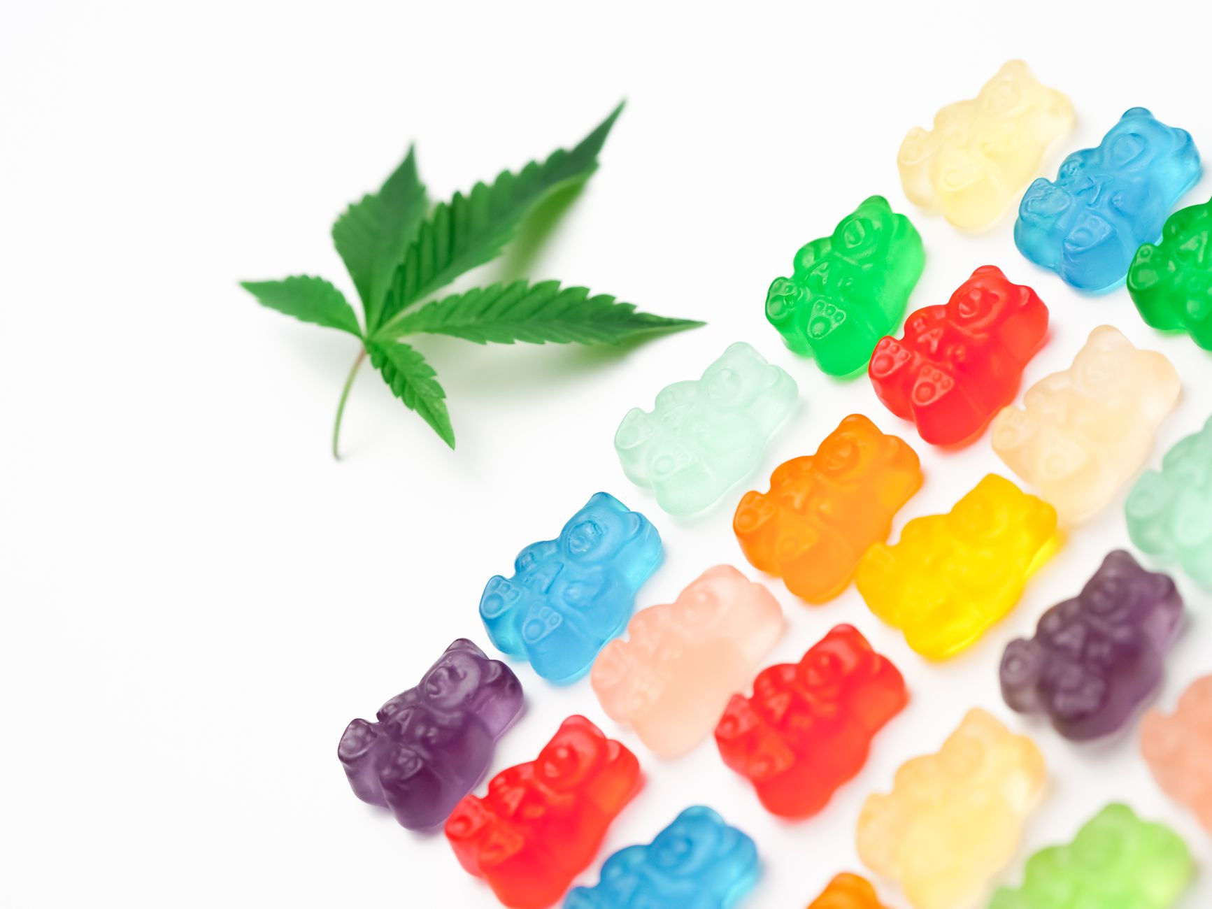 Understanding How Long Edibles Last: What You Need to Know